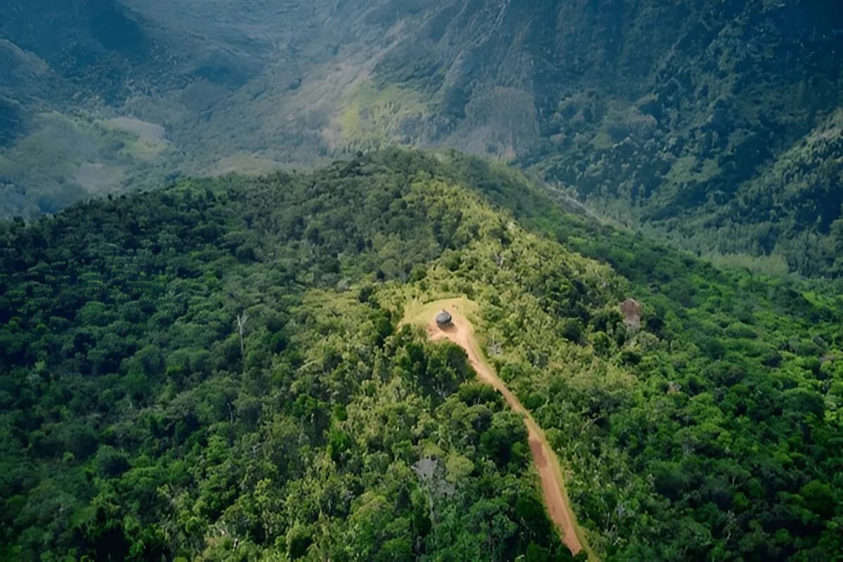 Black River Gorges National Park