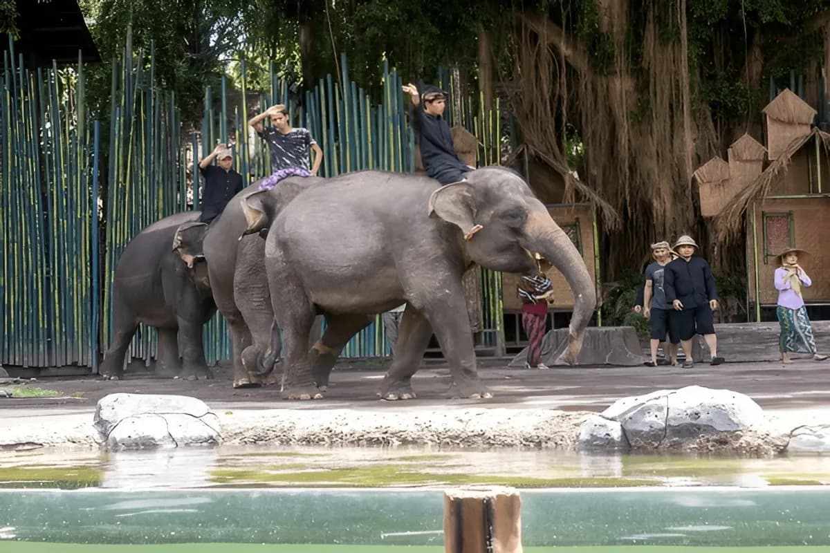 The Amazing Taman Safari Bali