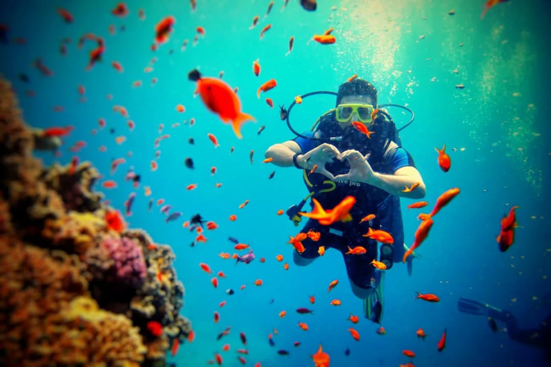 Underwater Photography Spot