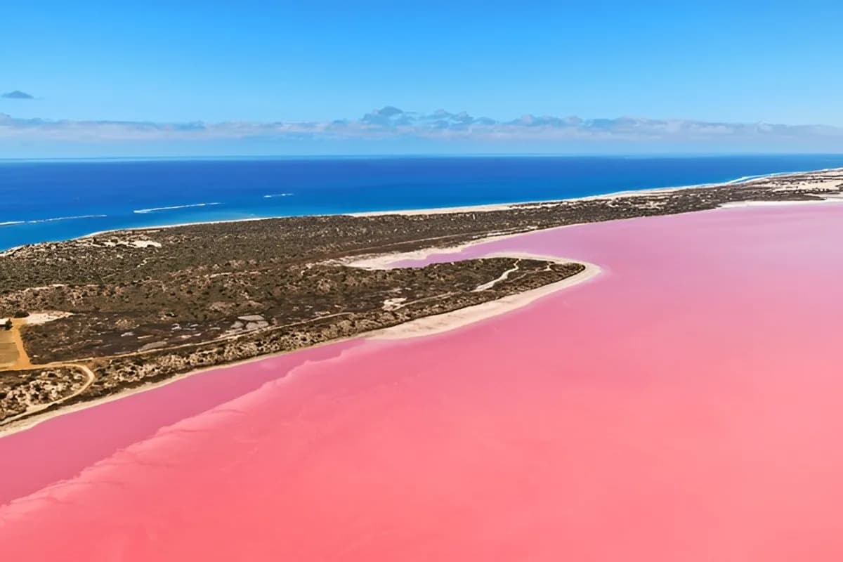 Pink Lake