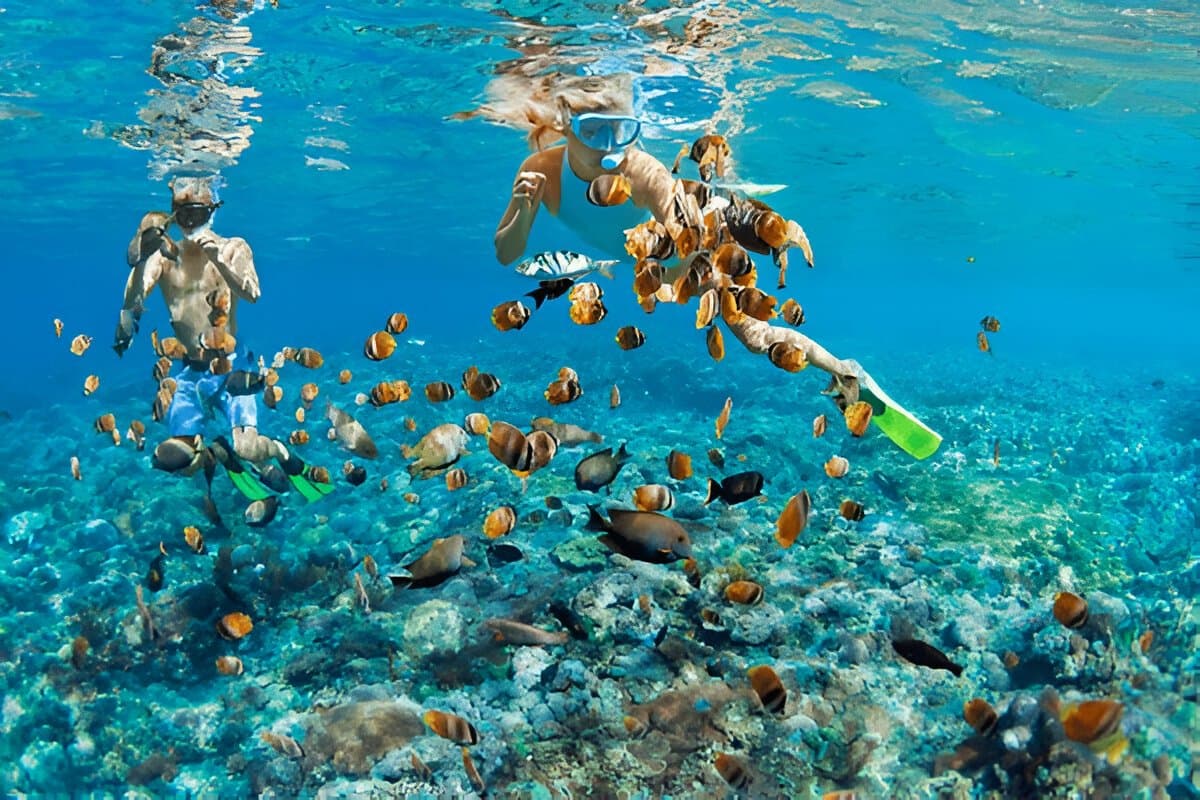 Snorkeling