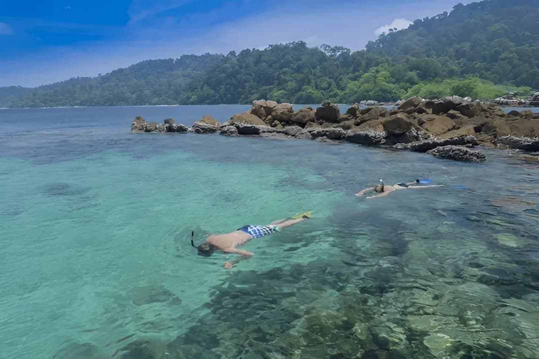 Snorkelling Coral Area
