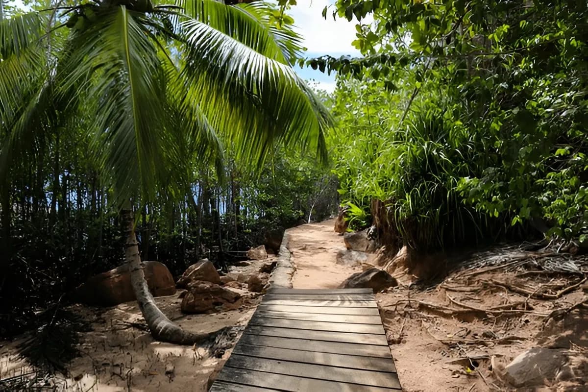 Curieuse Island