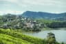 Tea field Nuwara Eliya