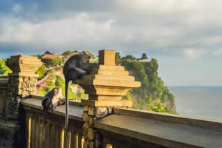 Island Wonders of Bali | Cliffs, Culture & Coastlines
