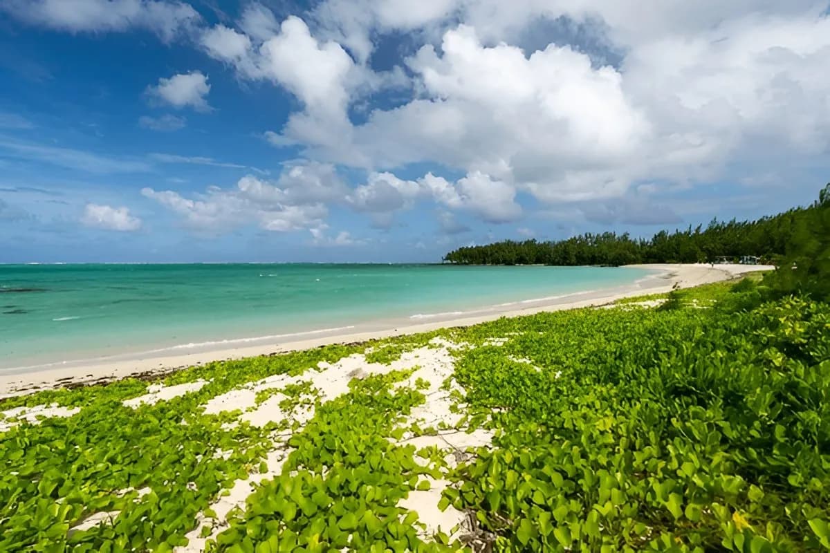 Île aux Cerfs