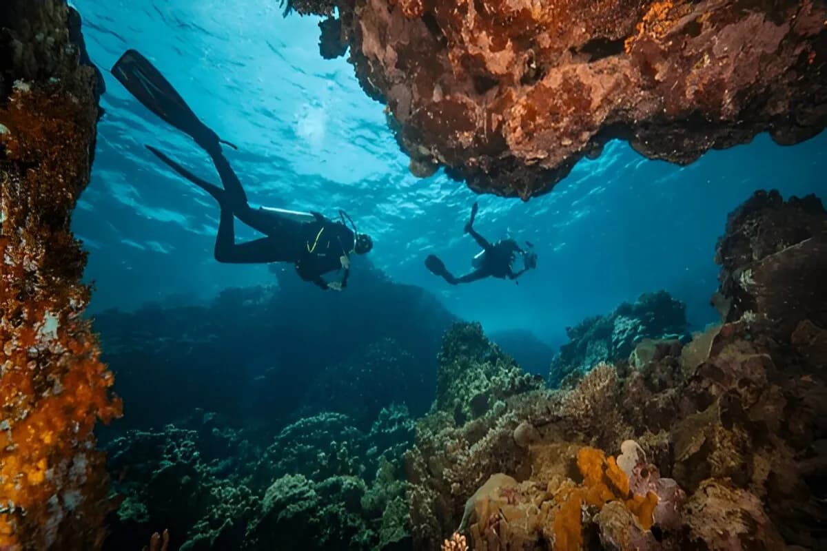 Dive into Pristine Waters at L’Ilot Reef