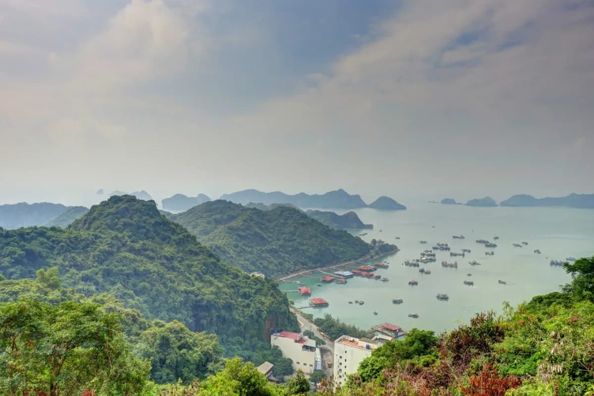 Hike Through Cat Ba Island