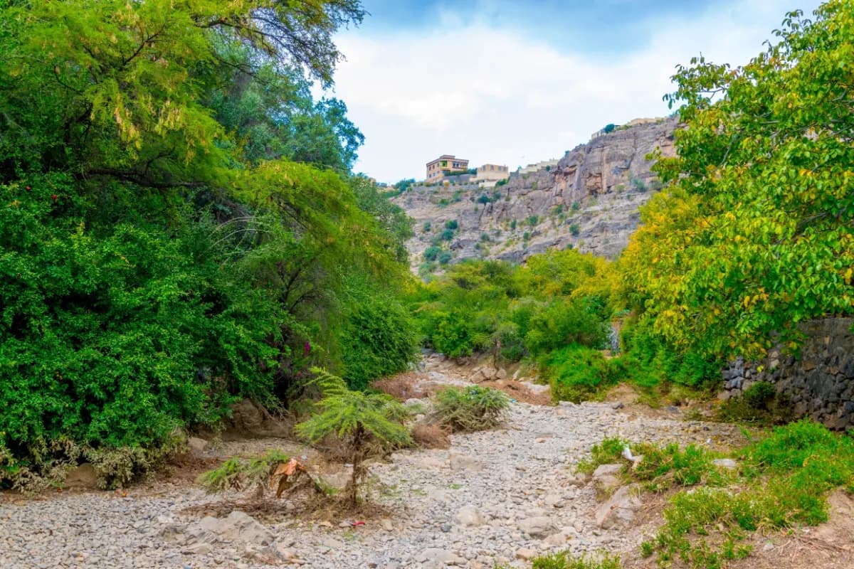 Wadi Bani Habib