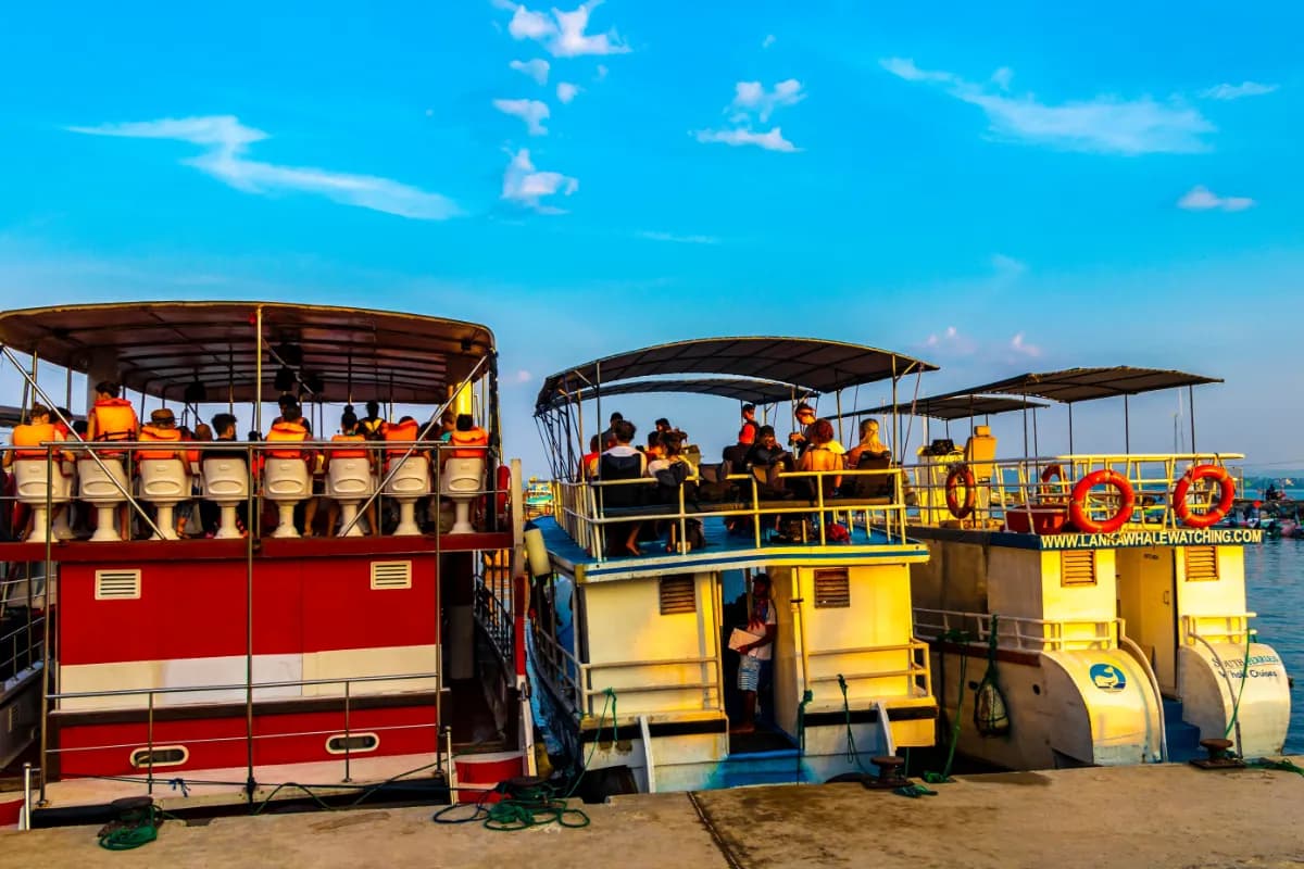 Mirissa Fisheries Harbour