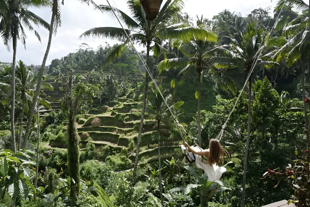 Rice Terrace View Platforms