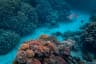 Banana Reef