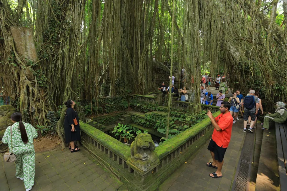 Sacred Monkey Forest Sanctuary