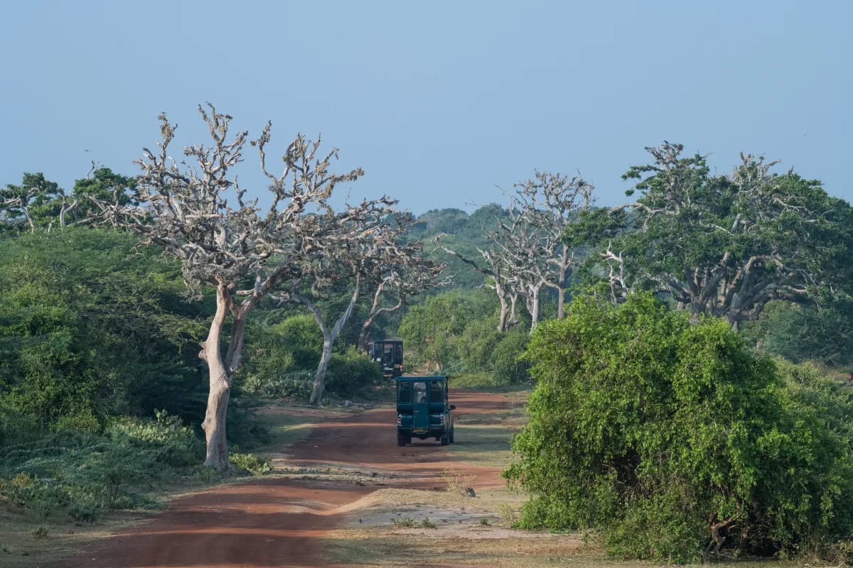 Bundala National Park