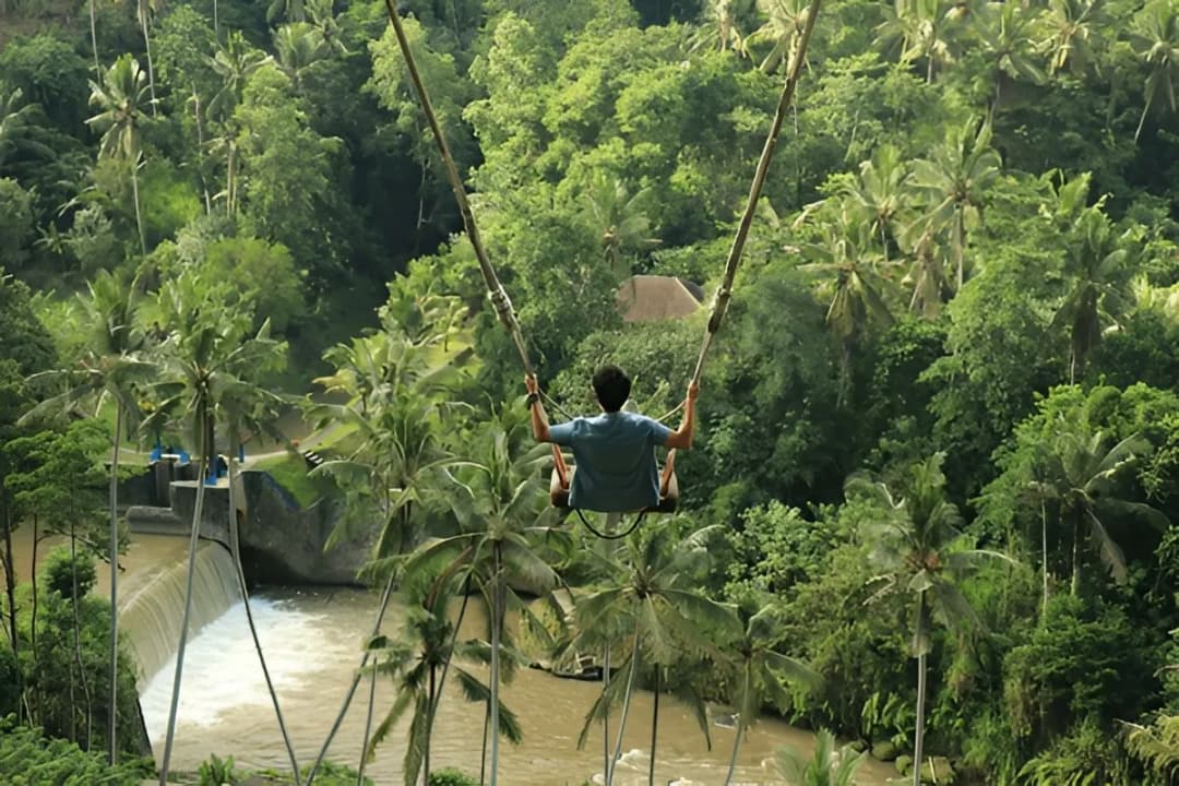 Classic Jungle Swing