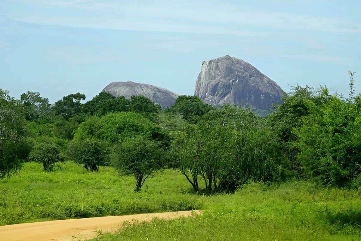 Wildlife Safari in Sri Lanka