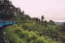 Scenic Railway in Sri Lanka