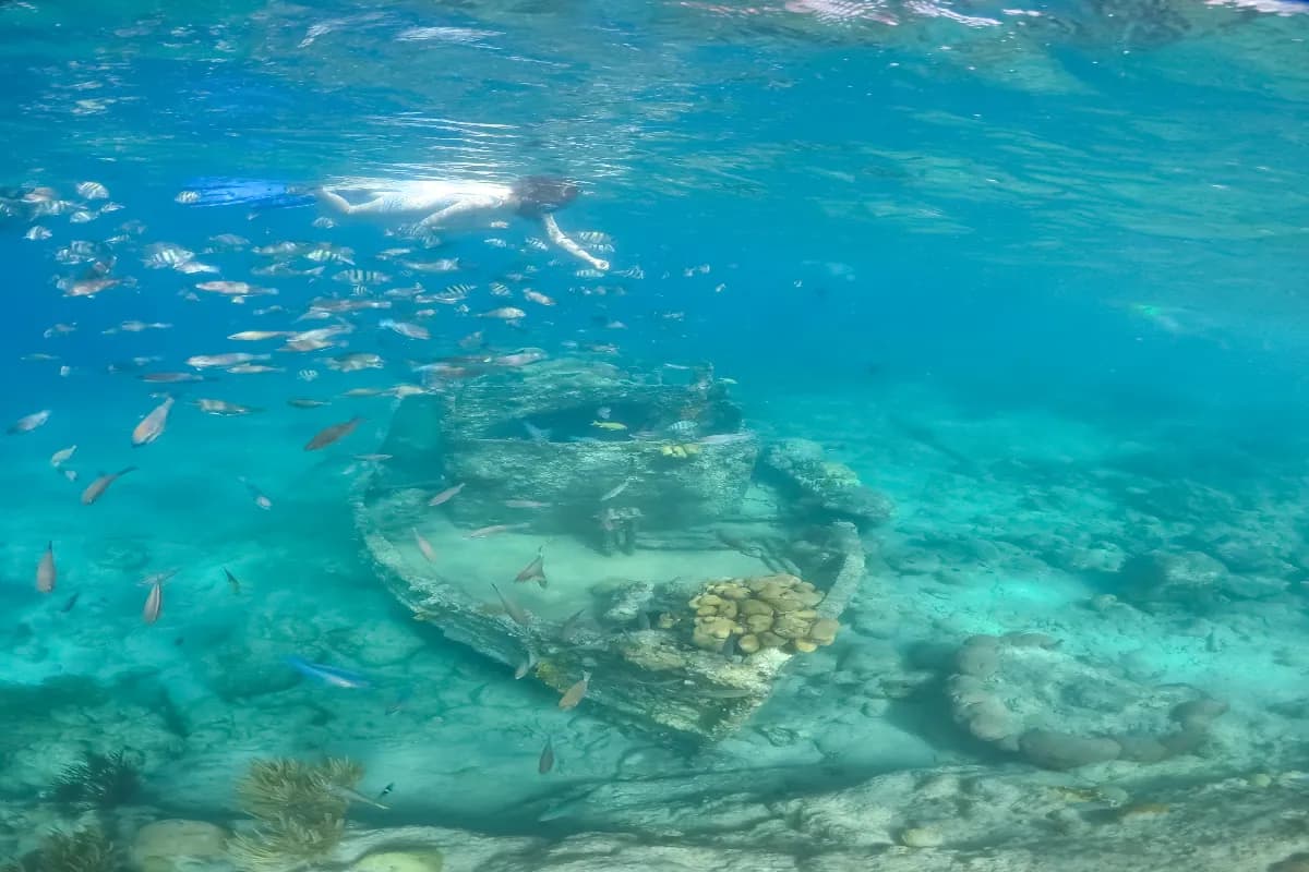 Snorkelling Trail - Reef Conservation