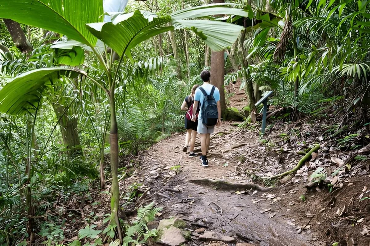 Scenic Hike up Copolia Trail