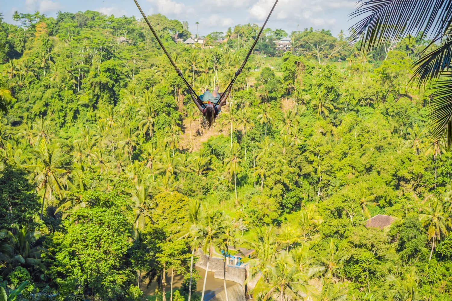  Bali Swing