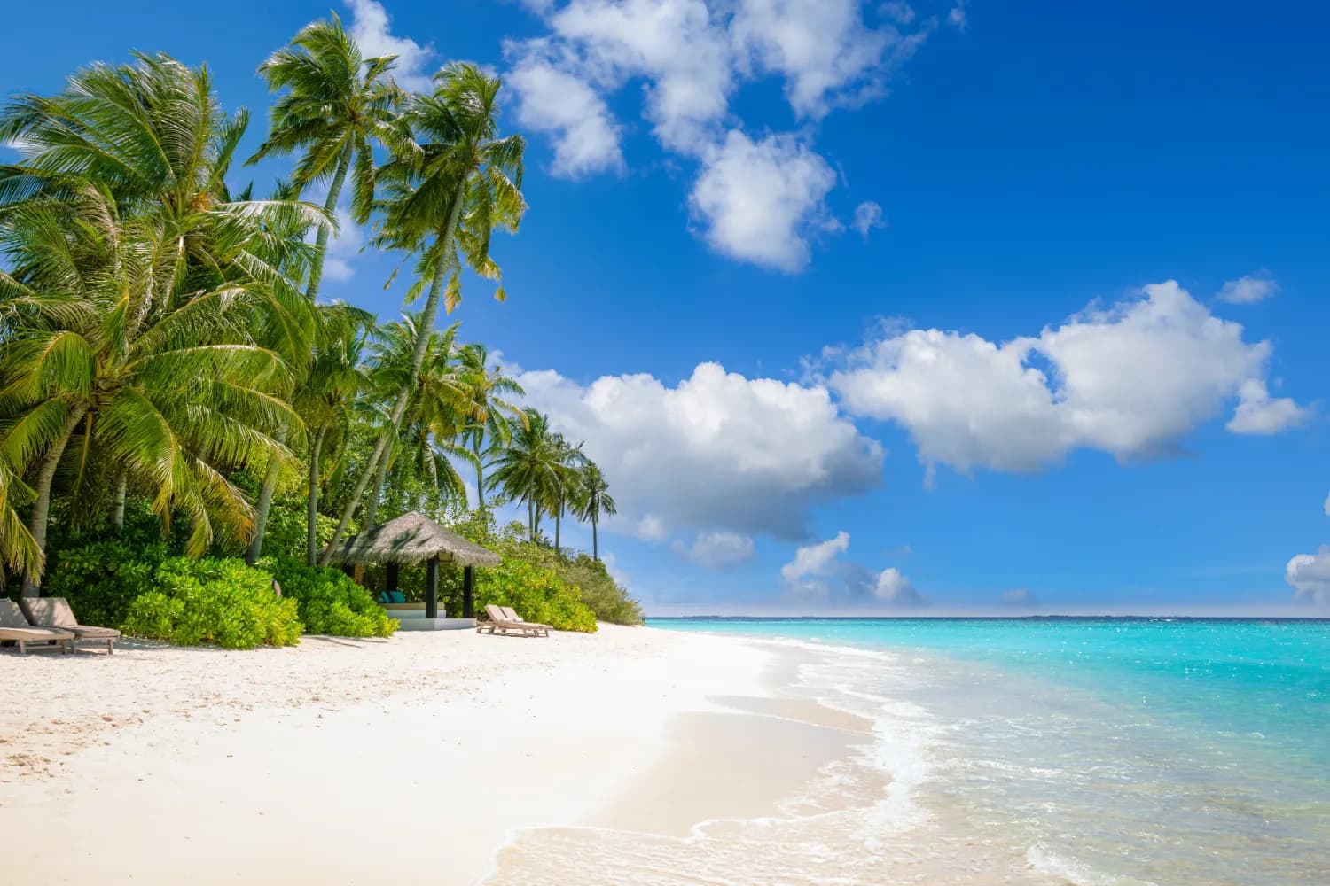 Maldives Island Escape | FREE Speedboat Transfers