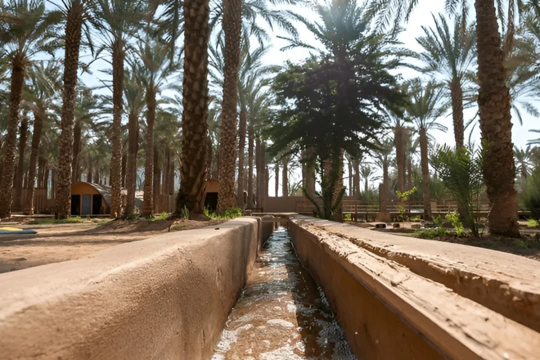 The Ancient Falaj System