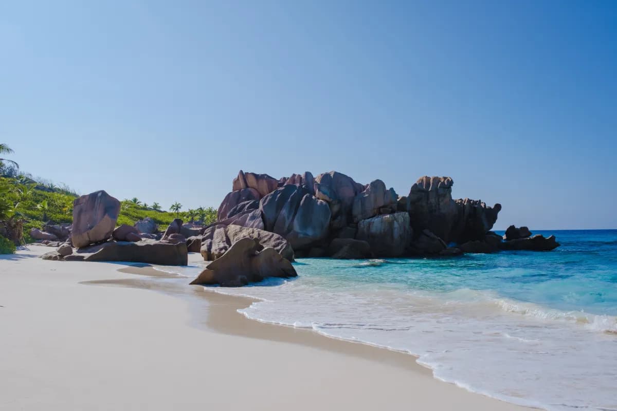 Bird Island