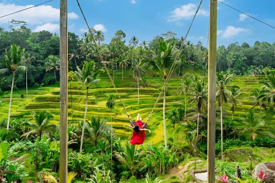 Bali Jungle Swing