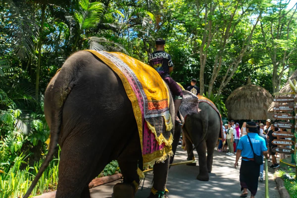 Bali Zoo