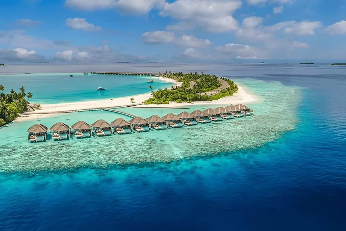 Banana Reef