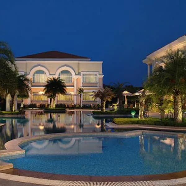 The Palms