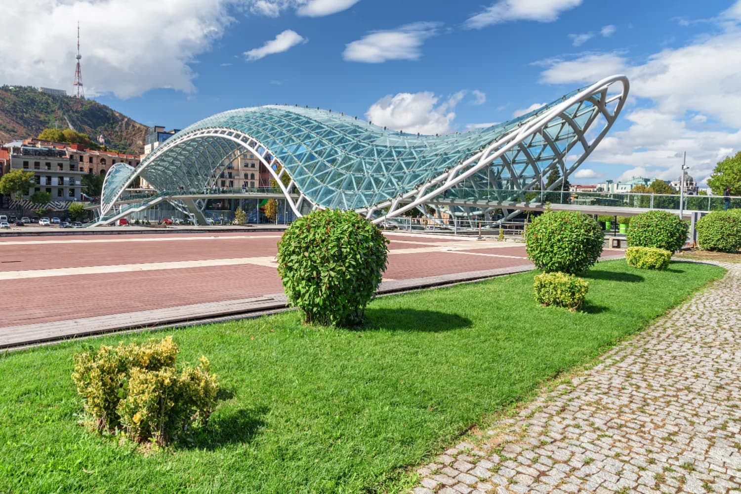 bridge of peace