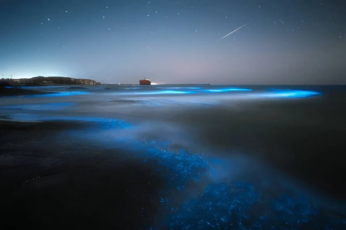 Maldives Glowing Beach