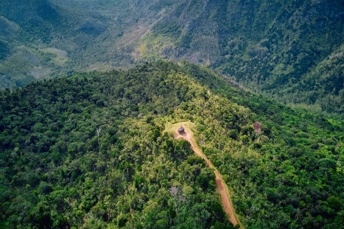 Black River Gorges National Park