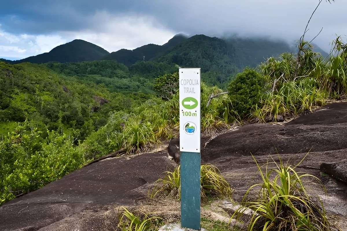 Copolia Trail