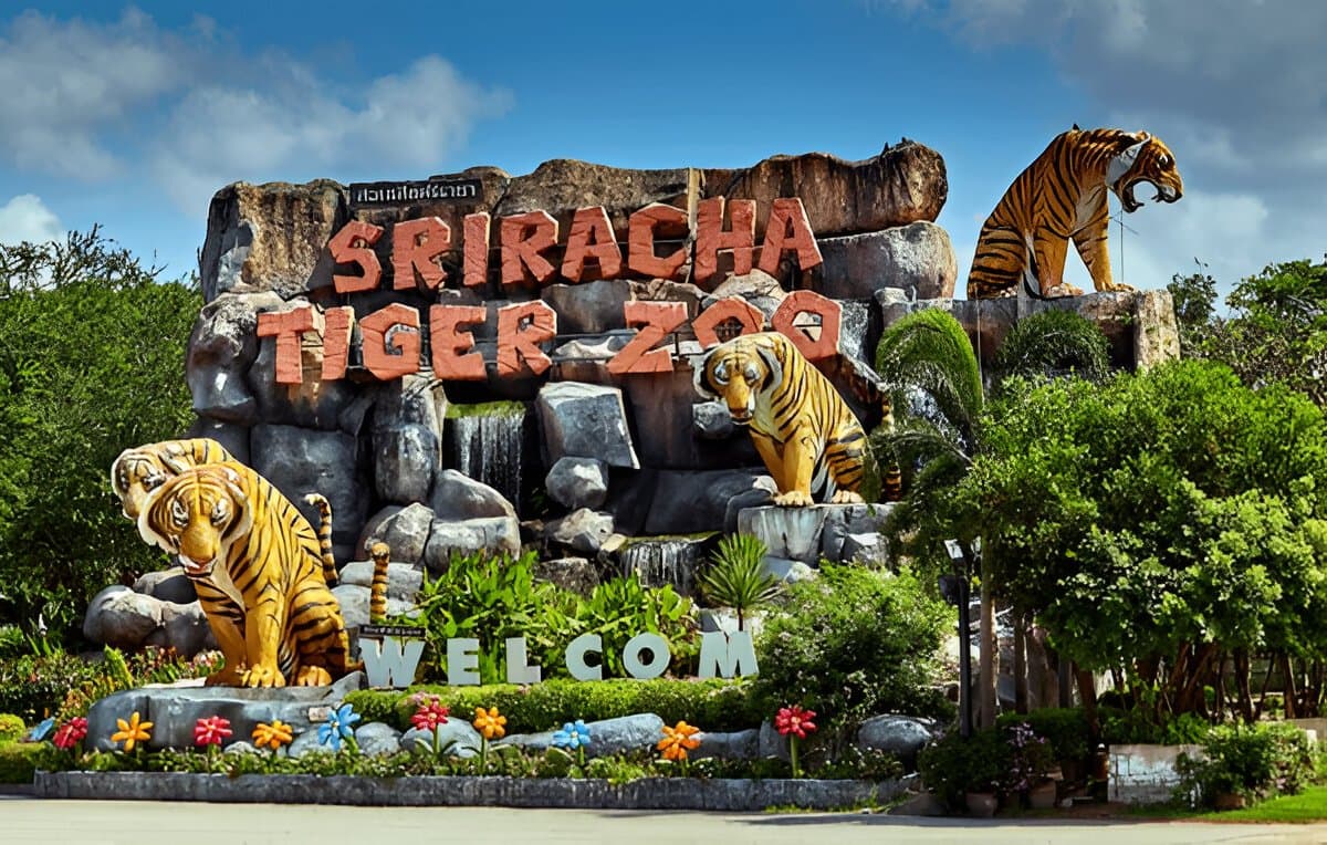 Visit Sriracha Tiger Zoo, Pattaya
