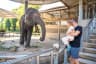 Wildlife Safari in Thailand