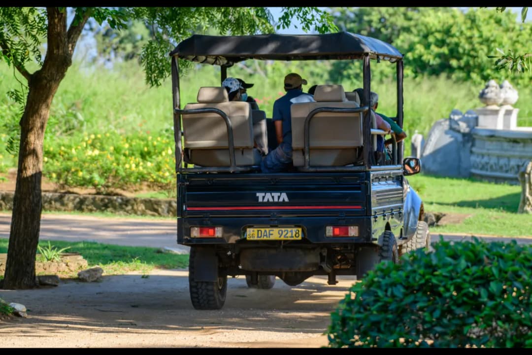 Safari Jeep Experience