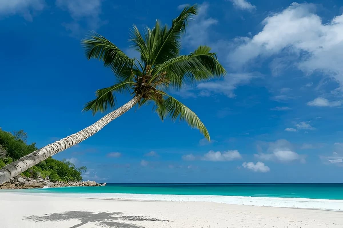 Anse Georgette
