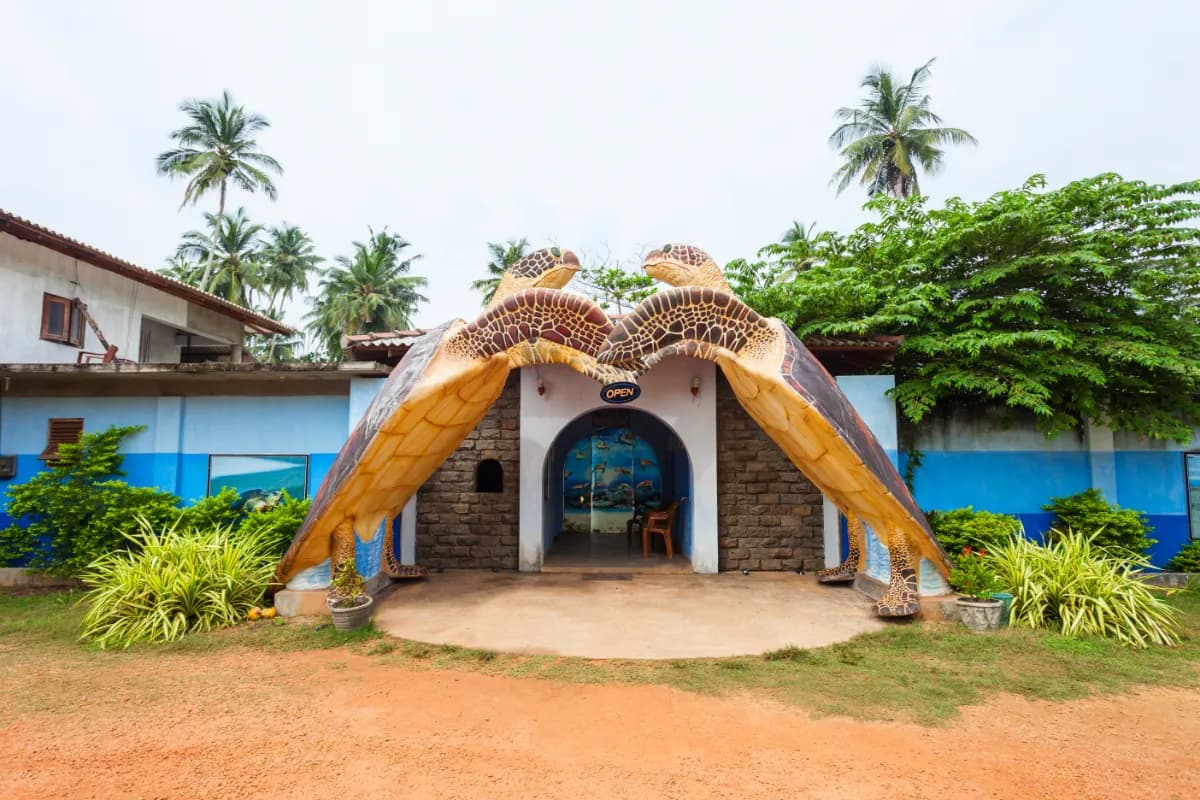 Turtle Sanctuary Centre, Sri Lanka