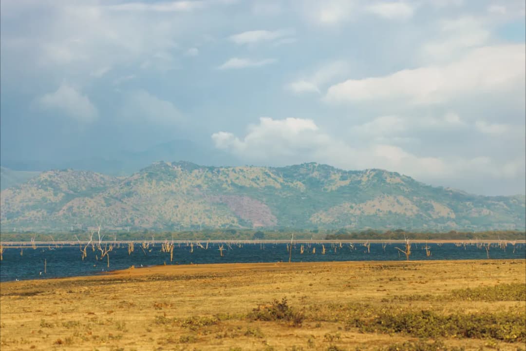 Udawalawe Reservoir Views