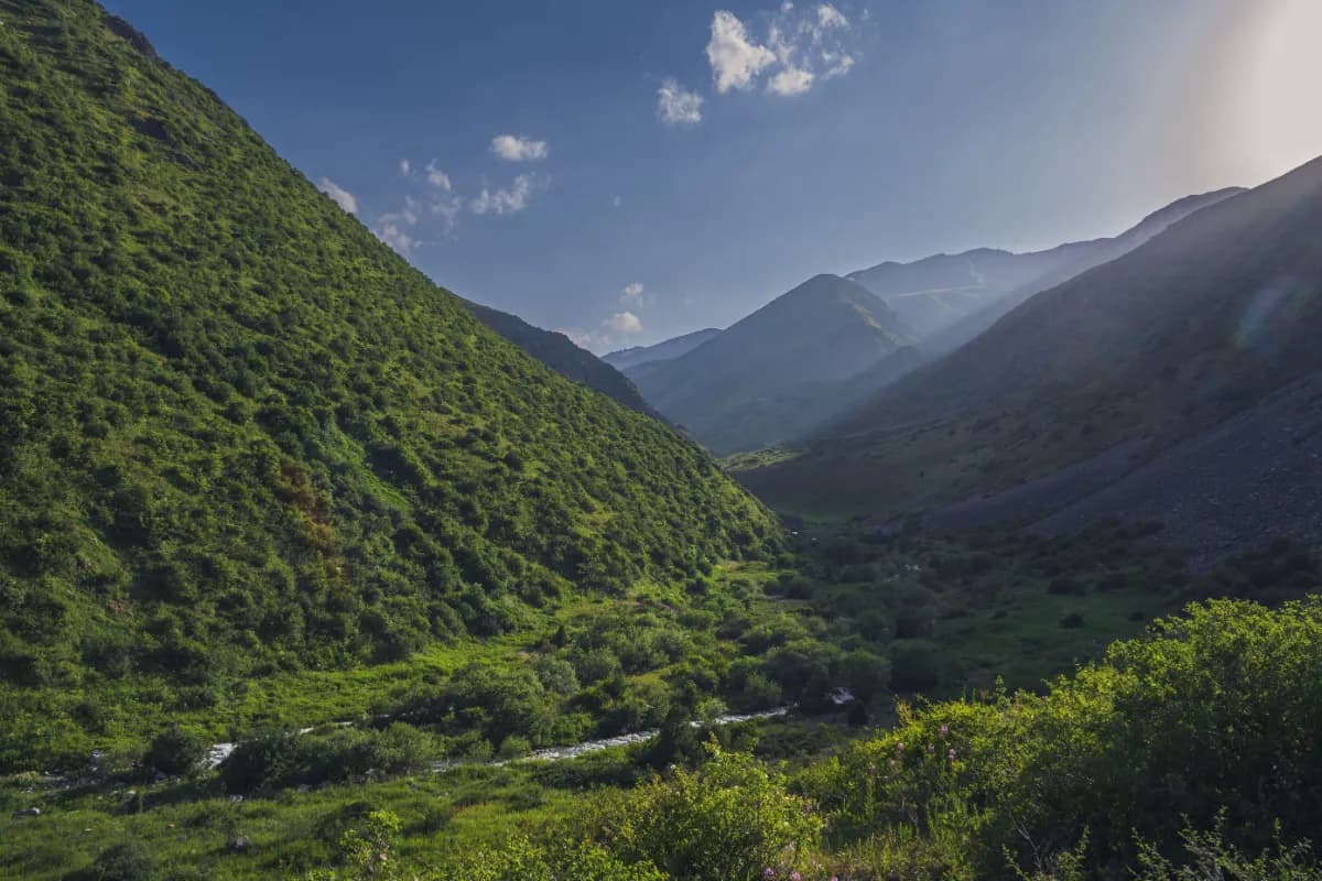 Aksu-Zhabagly Nature Reserve