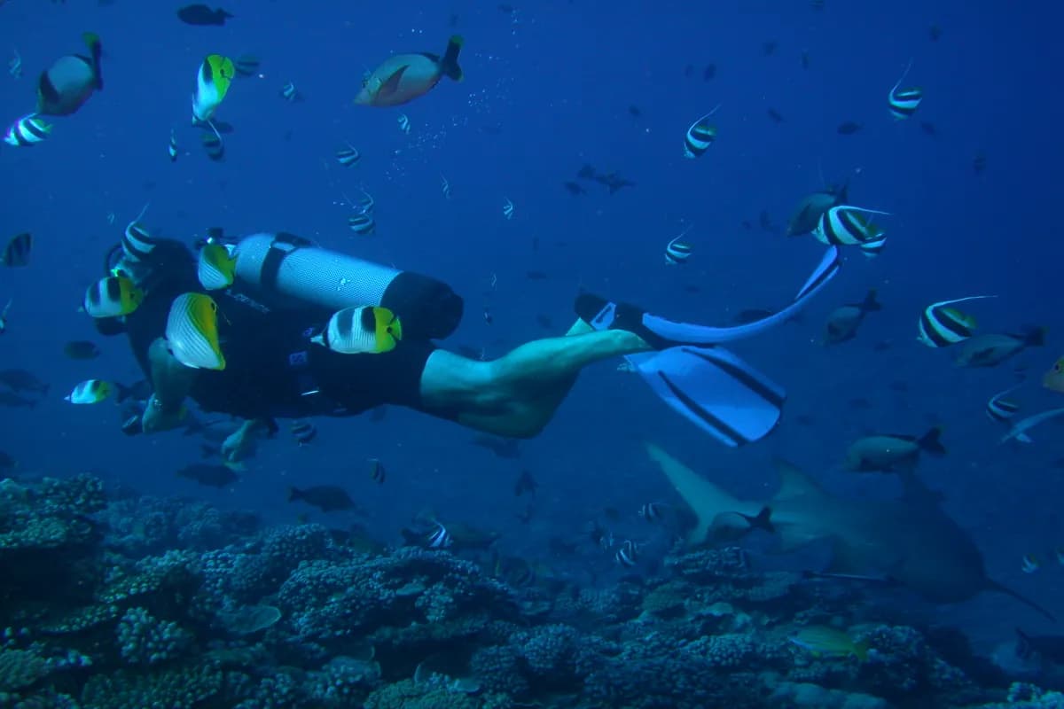 Scuba Diving at Maafushi