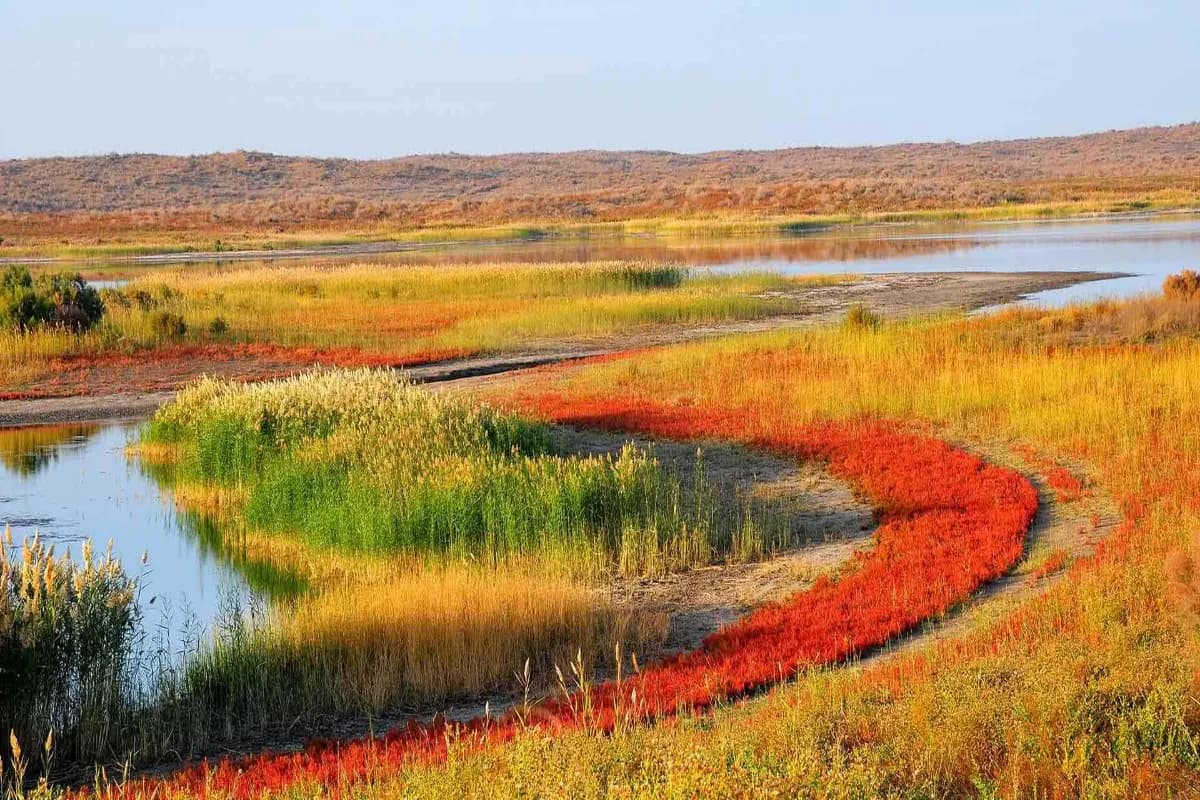Aydar Lake in Uzbekistan