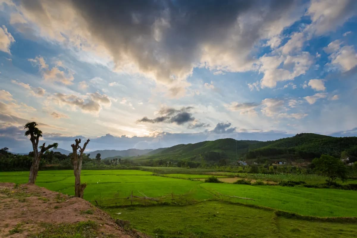 Phong Nha-Ke Bang National Park
