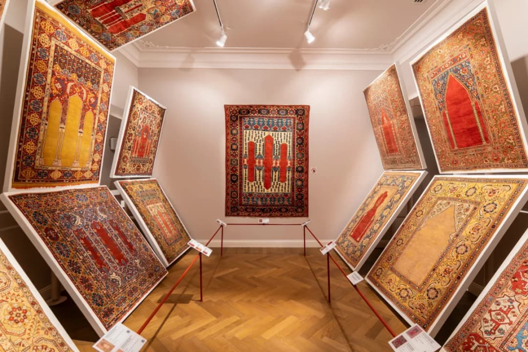 Modern Carpet Gallery