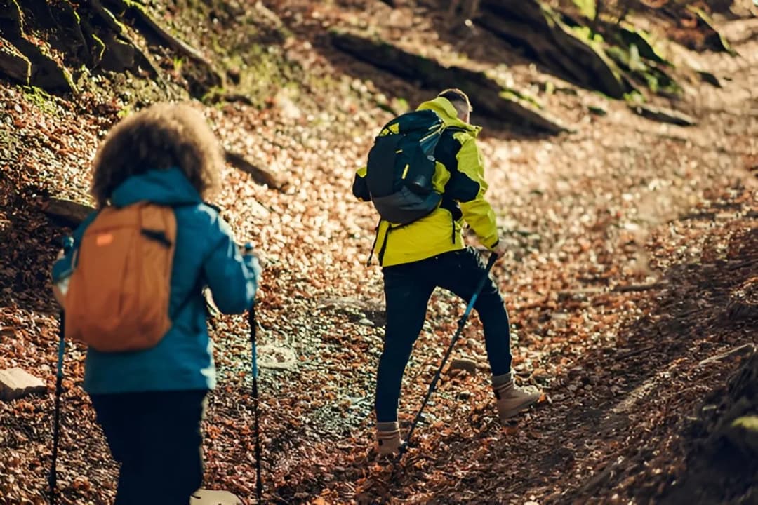 Scenic Trekking Trails