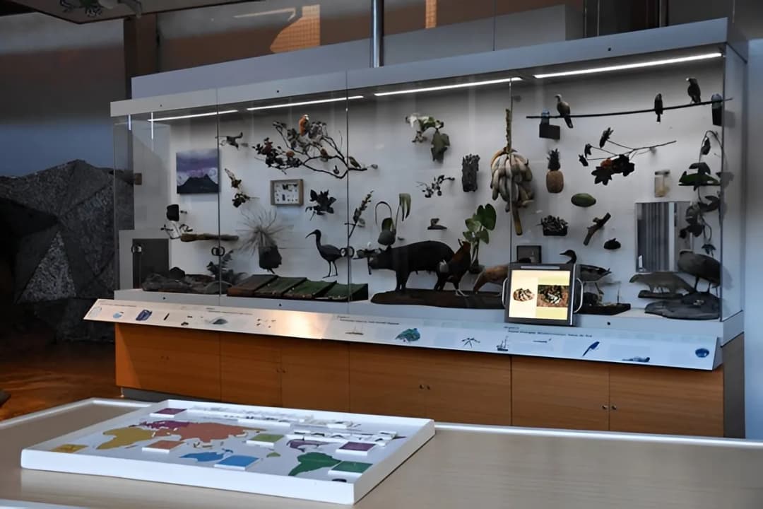 Nature Museum and Visitor Centre