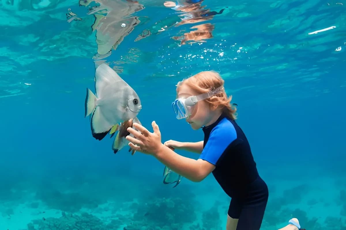 Snorkeling in Thailand