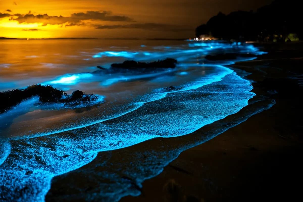Visit Glowing Beach on Vaadhoo Island